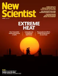 New Scientist magazine 29 - enkelt nummer