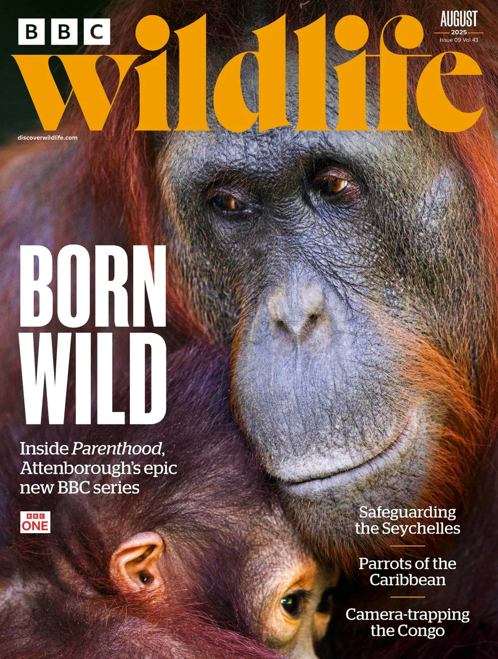 BBC Wildlife abonnement - 13 numre