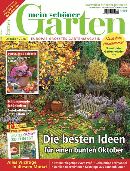 Mein schöner Garten forside oktober 2026 – Die besten Ideen für einen bunten Oktober, efterårshave med bænk, farverige blomster og løv i guld og rødt