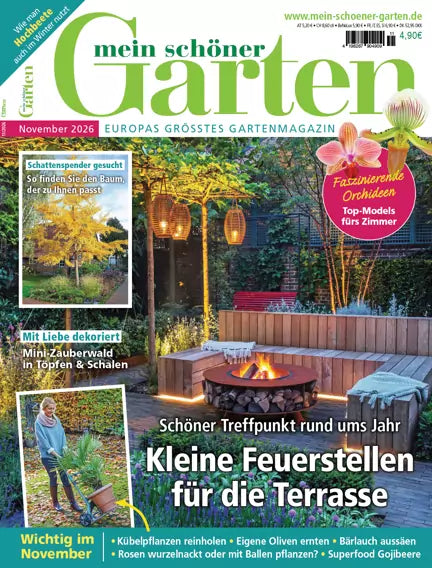 Mein schöner Garten november 2026 med et tændt bålfad foran en træbænk på en frodig terrasse med hængende lanterner.