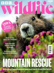 BBC Wildlife abonnement - 13 numre