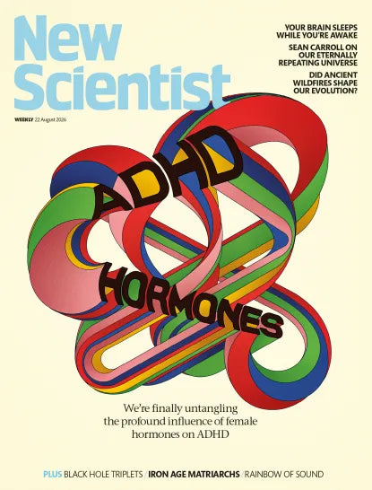 New Scientist magazine 35, 2026 forside – ADHD, hormoner og hjerneforskning