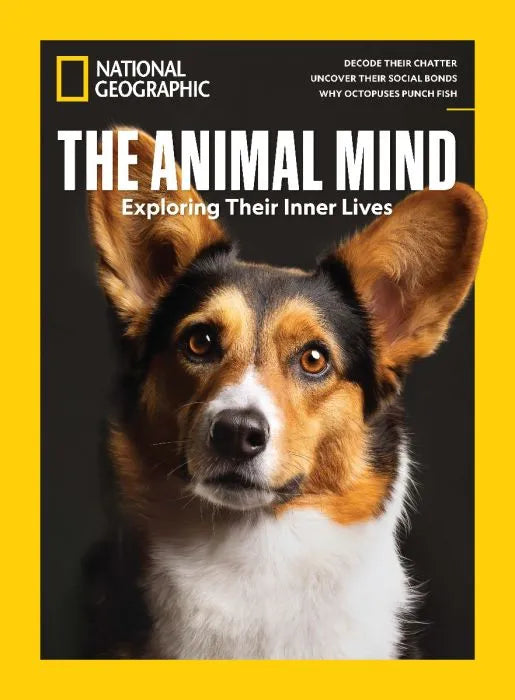 National Geographic The Animal Mind, forside med en trefarvet hund med store ører mod sort baggrund og gul ramme